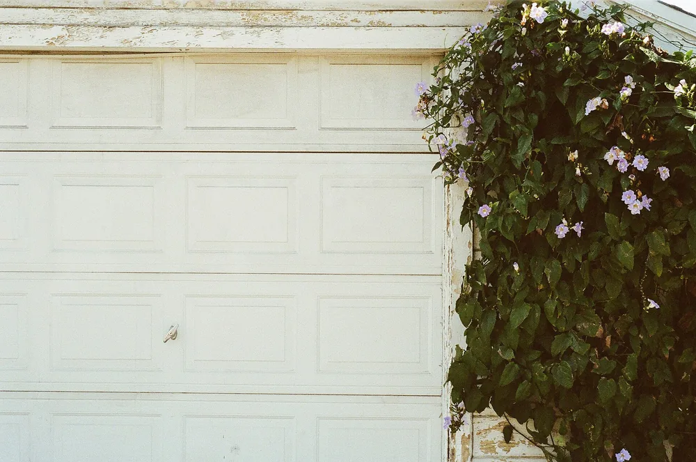 White raised-panel garage door with a flowering vine growing beside it